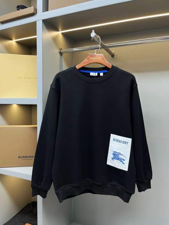 Picture of Burberry Sweatshirt _SKUBurberryS-2XLaztx875731009